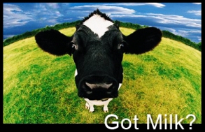 Got Milk?